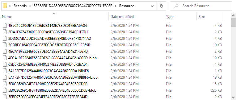 Microsoft Edge network cache