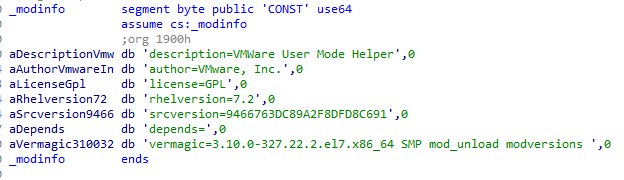 Rootkit modinfo section
