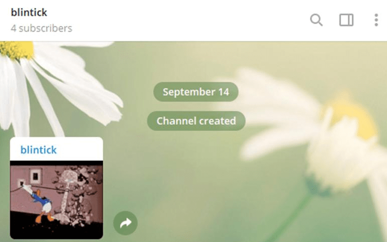blintick Telegram channel content