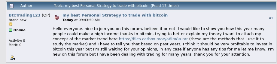 Example of a post on bitcointalk.org