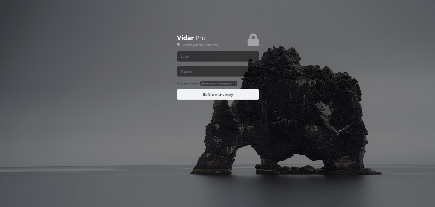 vidar pro stealer screenshot