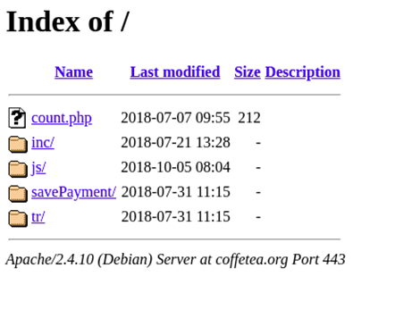 JS-Sniffer fake domains