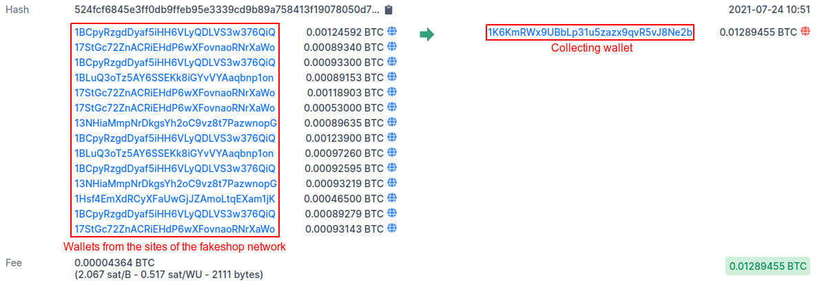 Transaction to a collector wallet screenshot