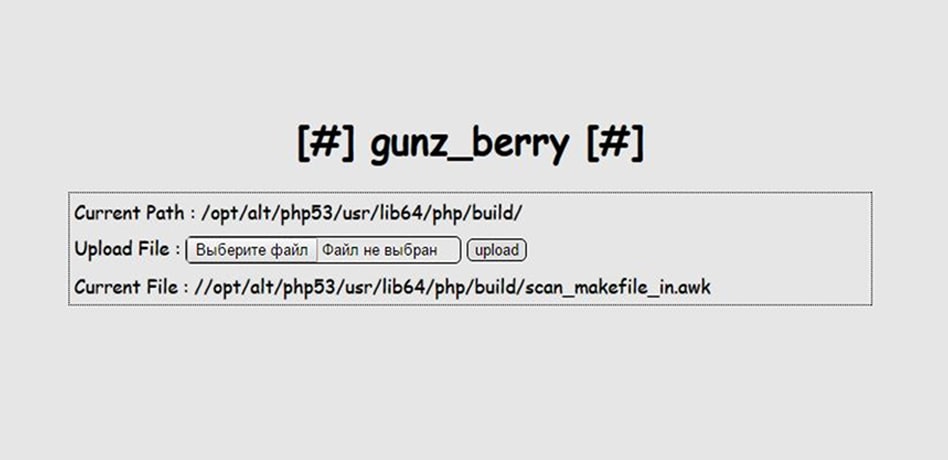 Screenshot of the interface software of the hacker alias gunz_berry