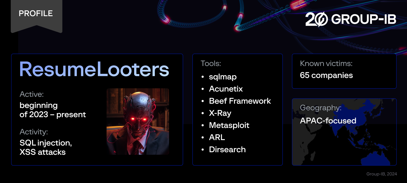 resumelooters profile description