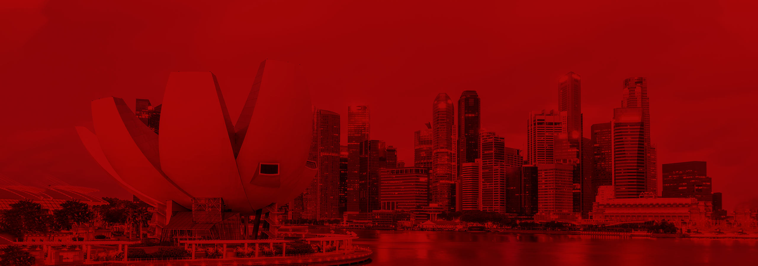 Fake Id Singaporean