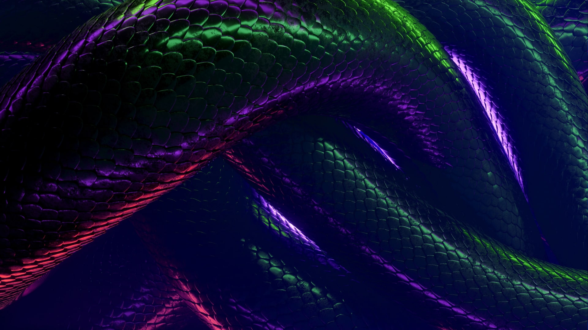 Pacific Python Snake Skin Pattern